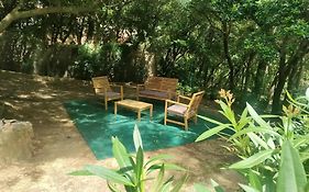 Lara'S Green Home